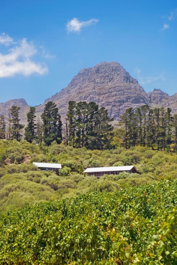 Bush Lodge At Hidden Valley Wines Stellenbosch Exteriér fotografie